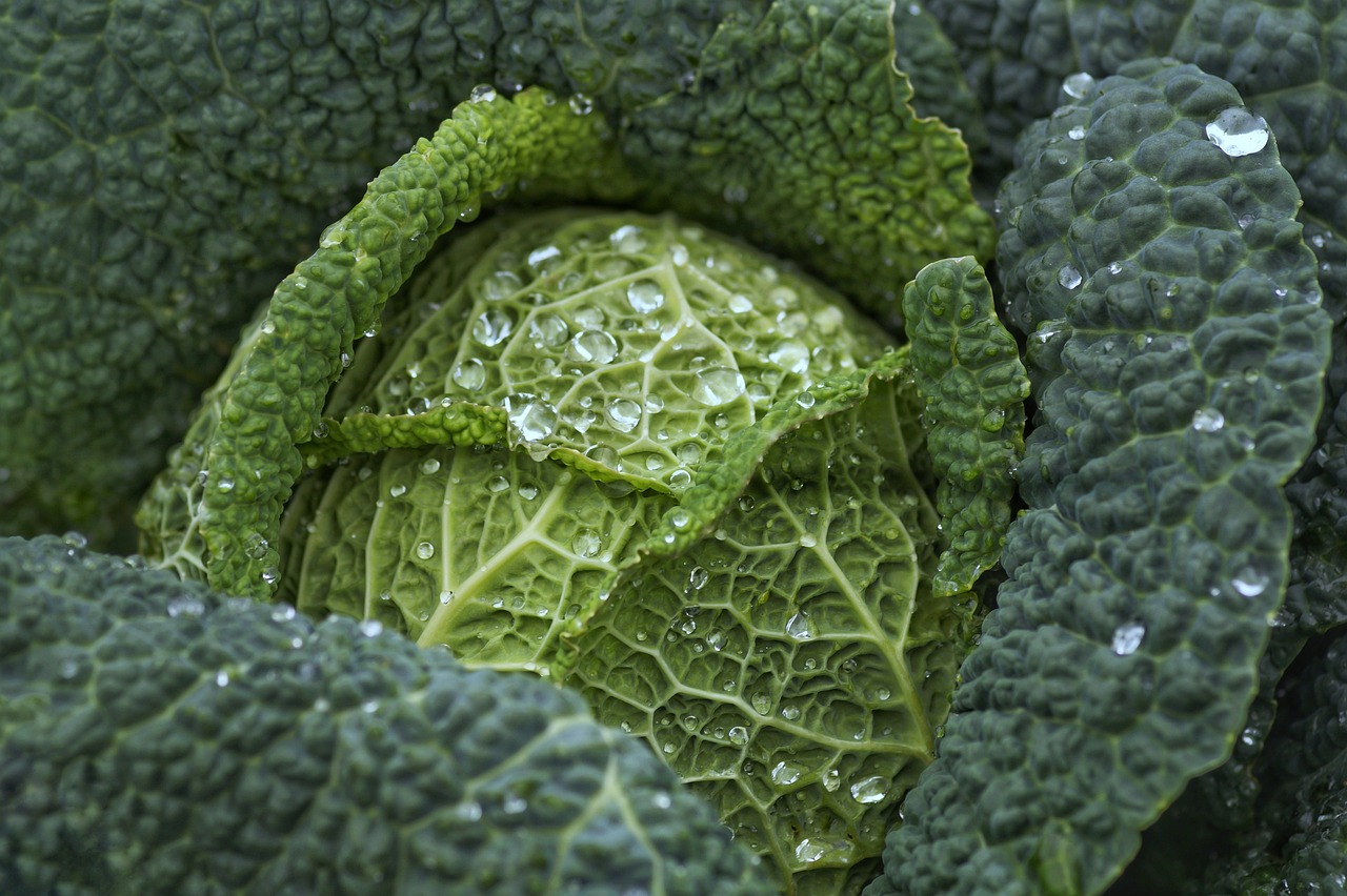 アトピーにいい野菜はどれ？