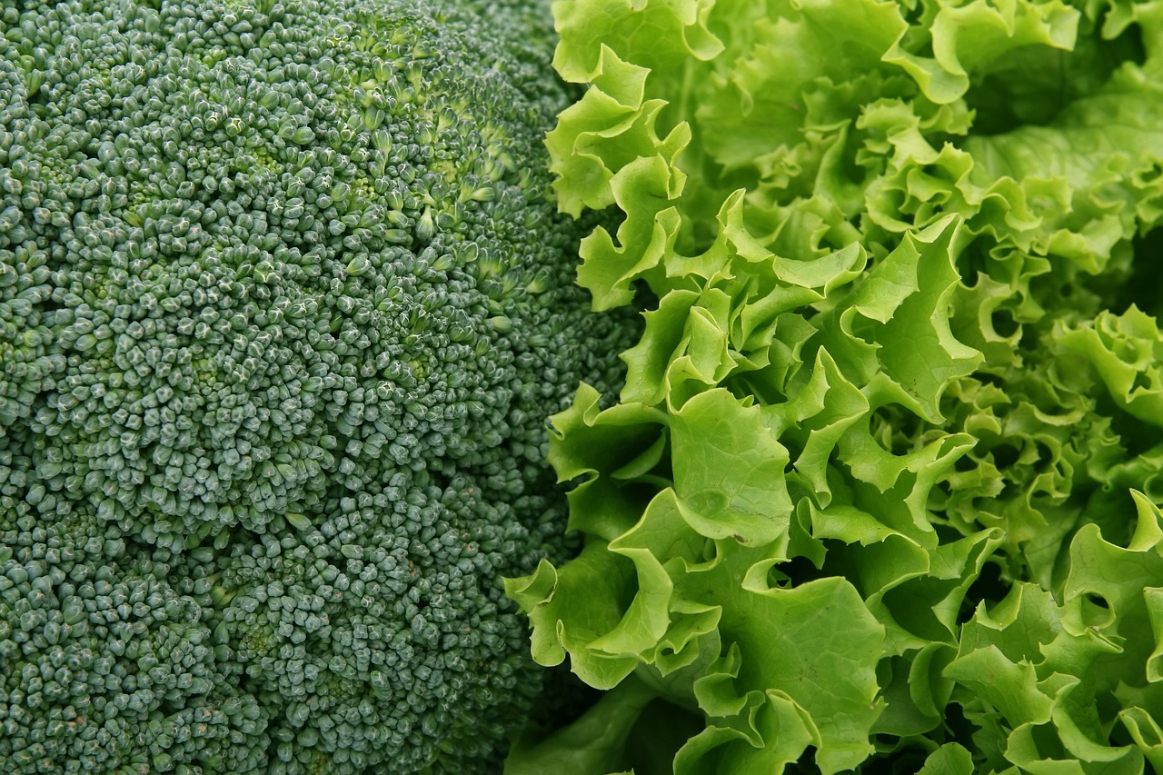 アトピーにいい野菜を知って、健康的な食生活を実現するには？