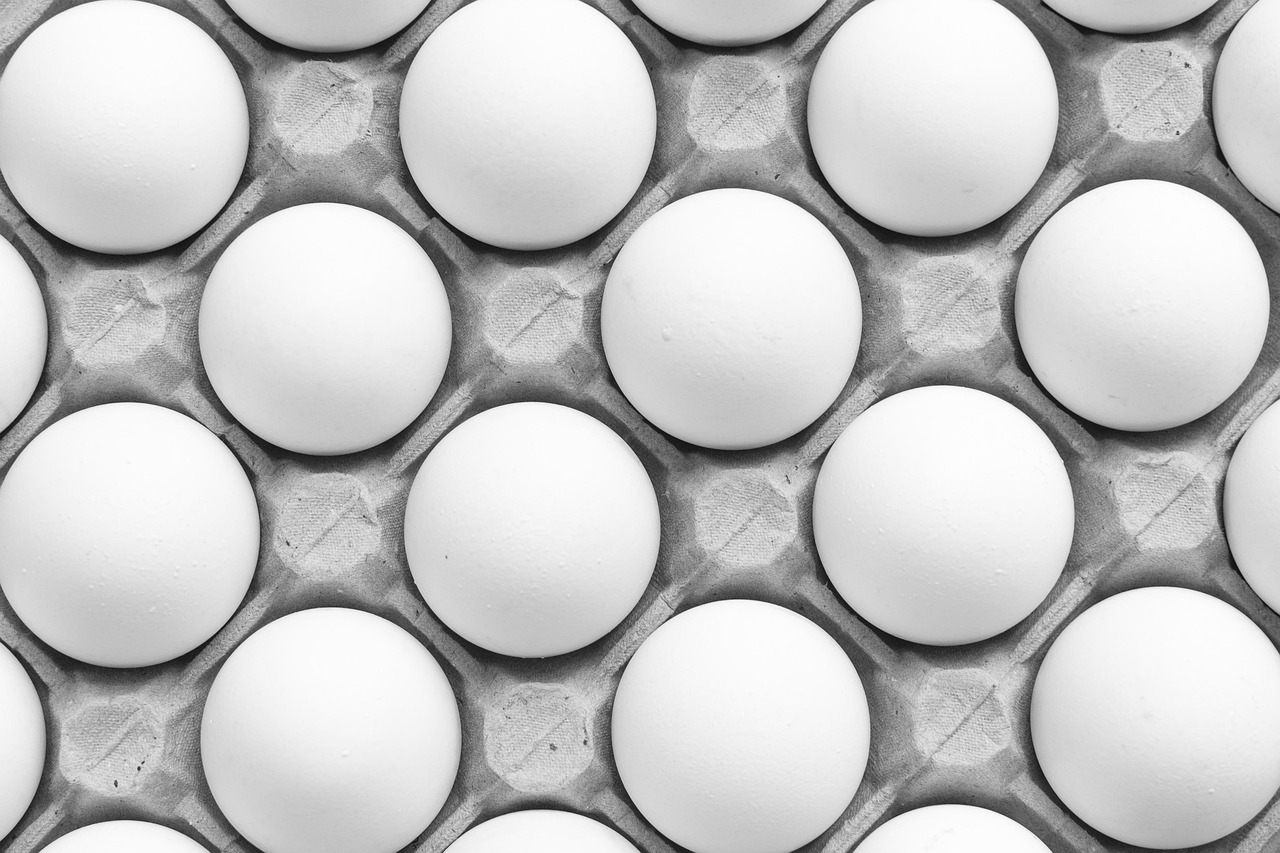 アトピーに悩む人が知っておきたい卵の影響は？