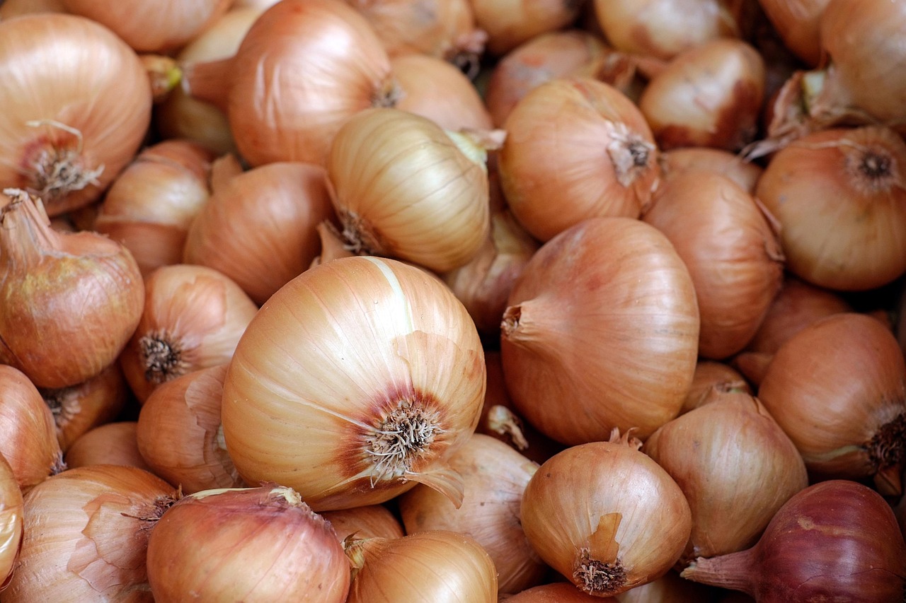 アトピーに良い野菜はどれですか？