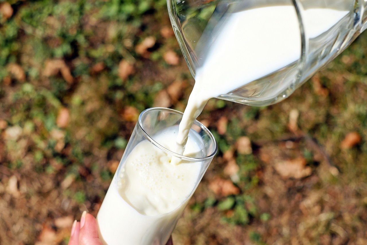 幼児のアトピー改善に効果的な牛乳除去食とは？