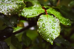 幼児のアトピーに効果的な高評価の保湿剤の口コミは？