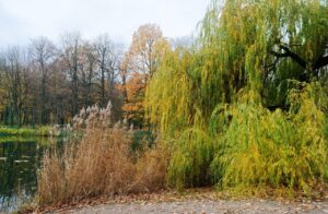 鉄分はアトピー改善にどのように役立つのか？