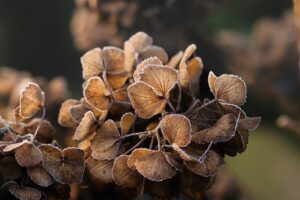 幼児のアトピーに効果的な冬の乾燥対策グッズは？