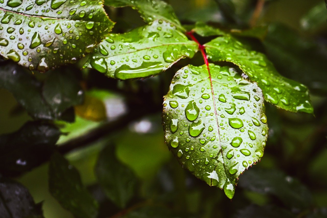 幼児のアトピーで保湿がしみる原因とは何ですか？