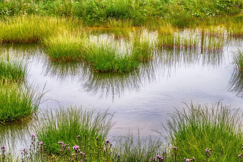 幼児のアトピーは気候の影響を受けやすいって本当ですか？