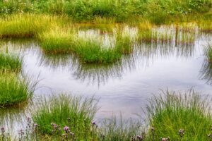 幼児のアトピーは気候の影響を受けやすいって本当ですか？